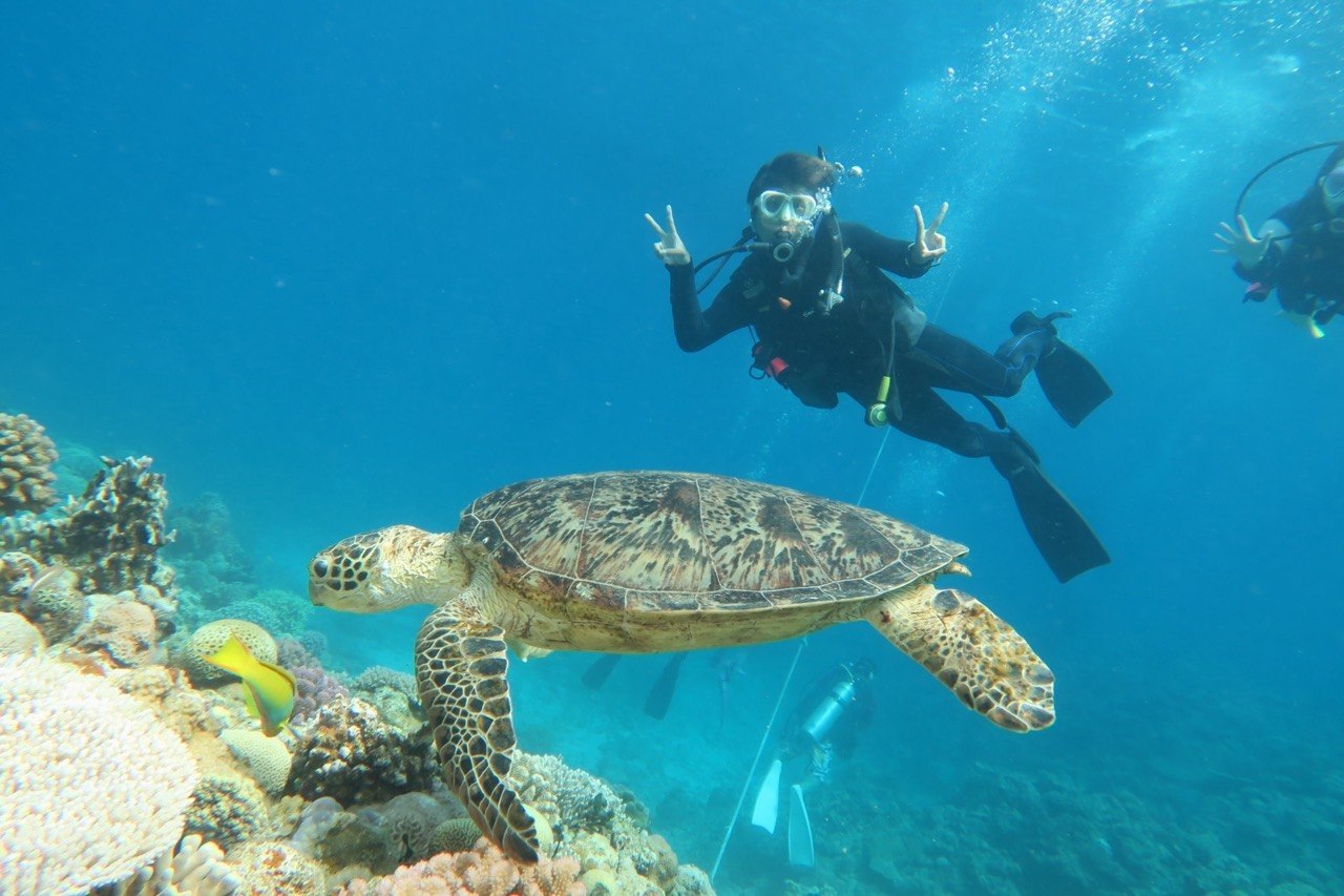 Diving activity