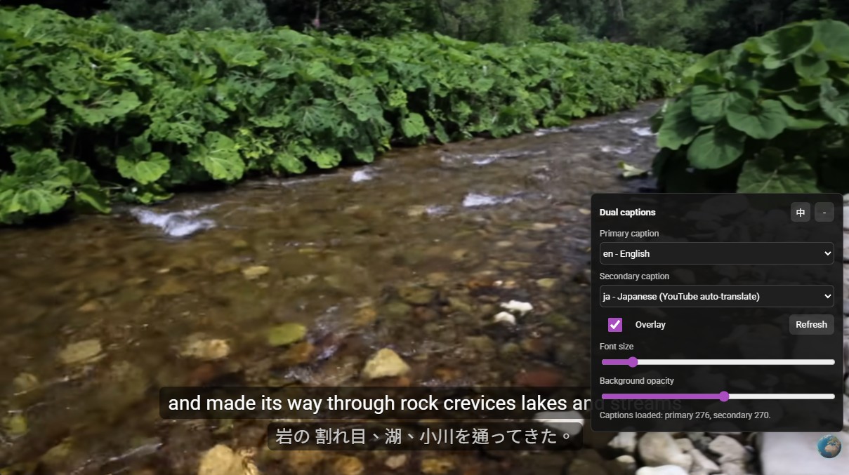 Dual YouTube Caption Overlay preview